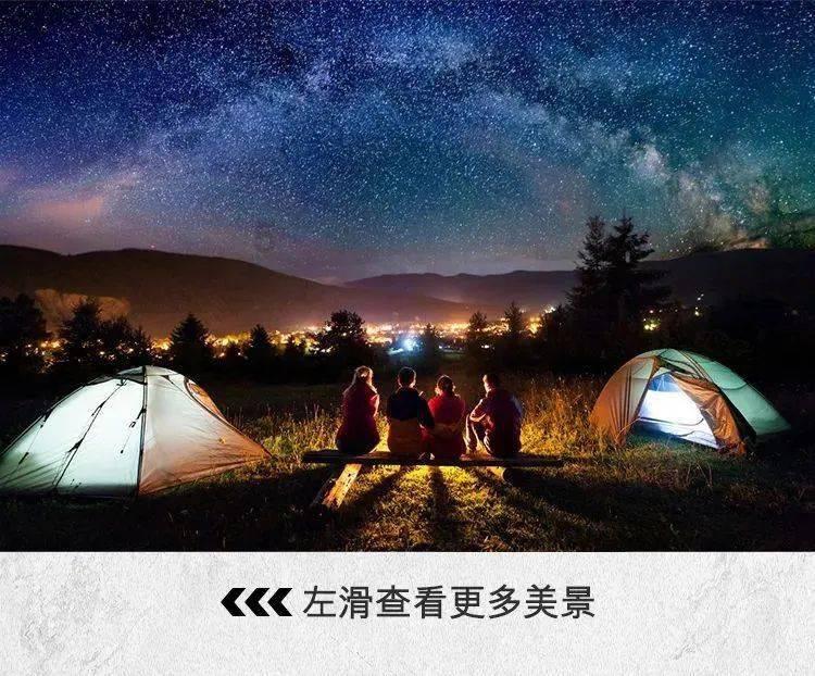 拯救昆虫群