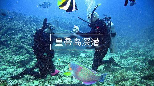 北约秘书长：北约未见俄罗斯对盟友构成直接威胁