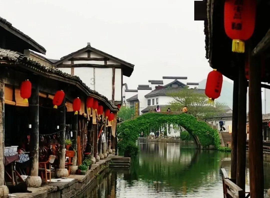 青蛙魔术师
