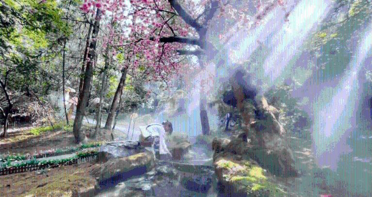 春雨直播app